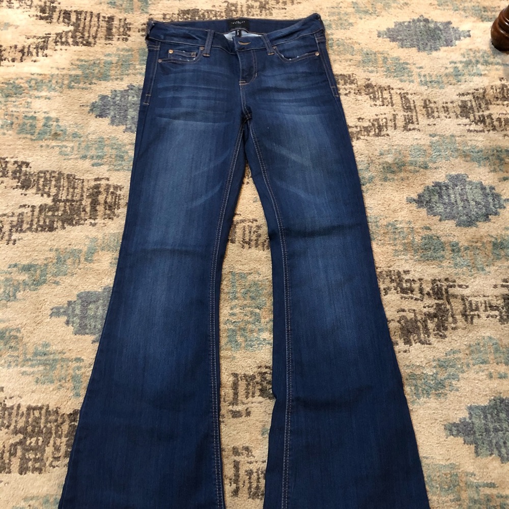 Celebrity Pink Flare Jeans